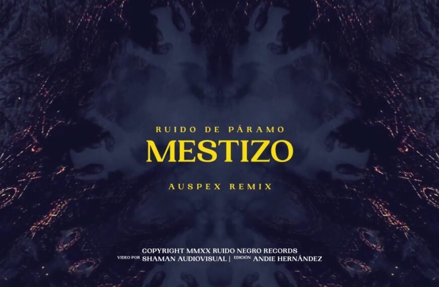 Mestizo (Remix)